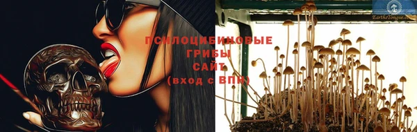 индика Козловка
