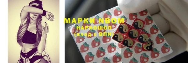 индика Козловка