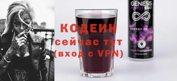 индика Козловка