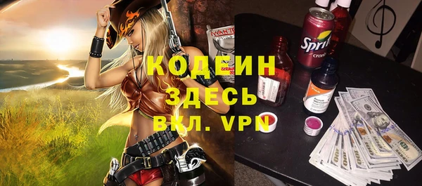 индика Козловка