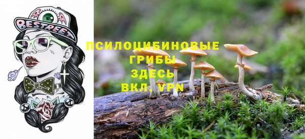 амф Коряжма