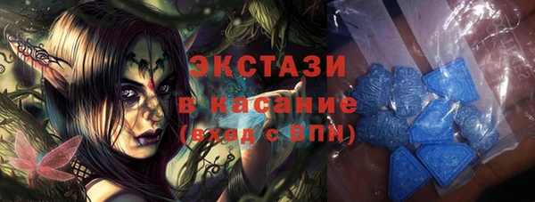 индика Козловка