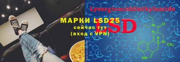 индика Козловка